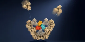 Sumber ScienceDaily
