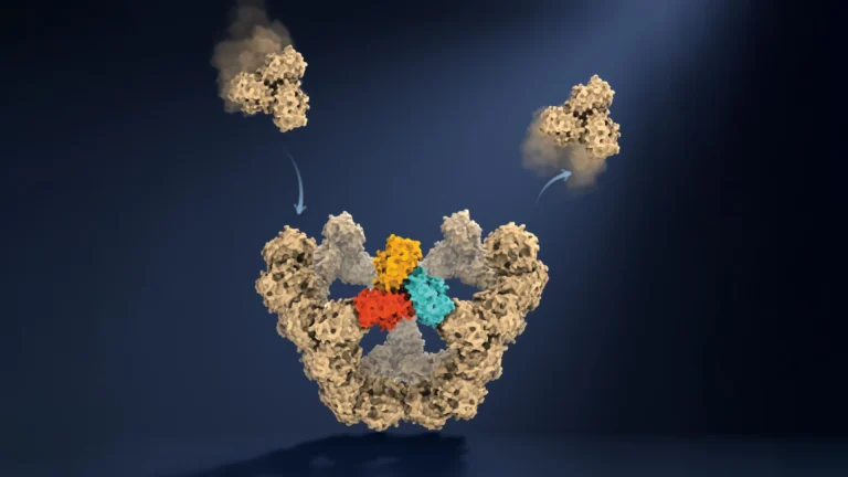 Sumber ScienceDaily