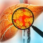 Sumber ScienceDaily