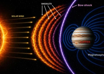 Sumber ScienceDaily