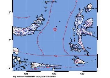 Peta guncangan (shakemap): BMKG